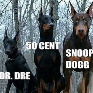 Meet your Posher, Emmanuel